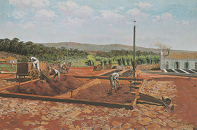 O terreiro, Fazenda Santa Gertrudes - Araras, SP, 1903, Antonio Ferrigno