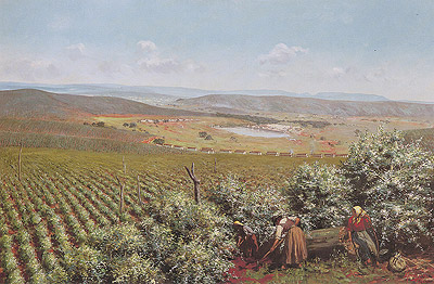 Florada, Fazenda Santa Gertrudes - Araras, SP, 1903, Antonio Ferrigno