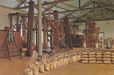 Ensacamento do café, Fazenda Santa Gertrudes - Araras, SP, 1903, Antonio Ferrigno
