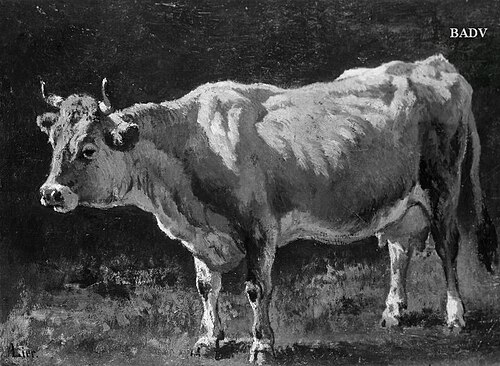 Kuh, 1851, Adolf Heinrich Lier