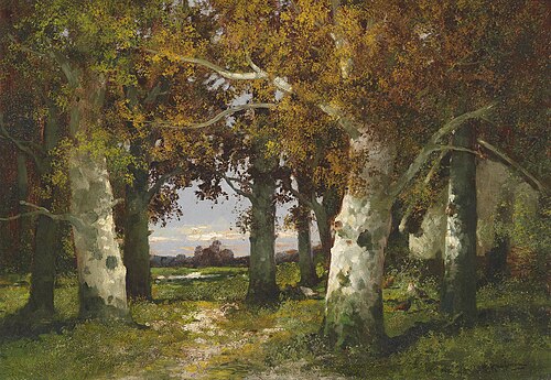 Waldlandschaft, 1916, Adolf Kaufmann