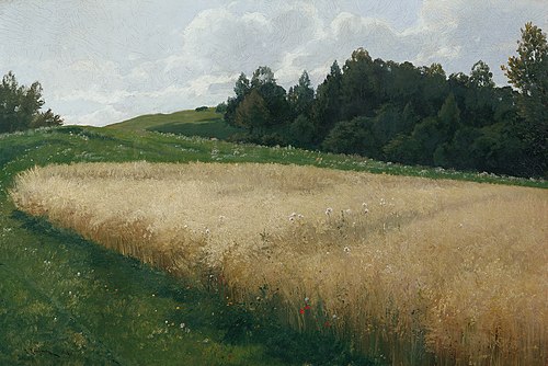 Das Haferfeld, 1906, Adolf Kaufmann