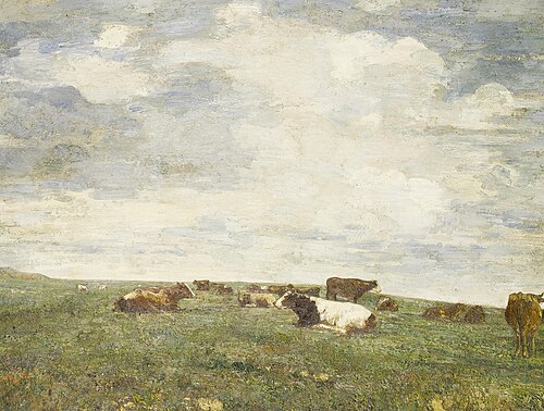 Cattle in the field, , Beppe Ciardi