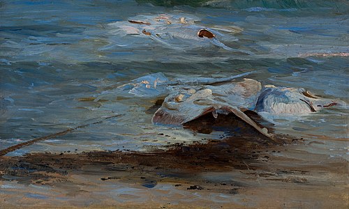 Dead rays, 1884, Peder Severin Krøyer