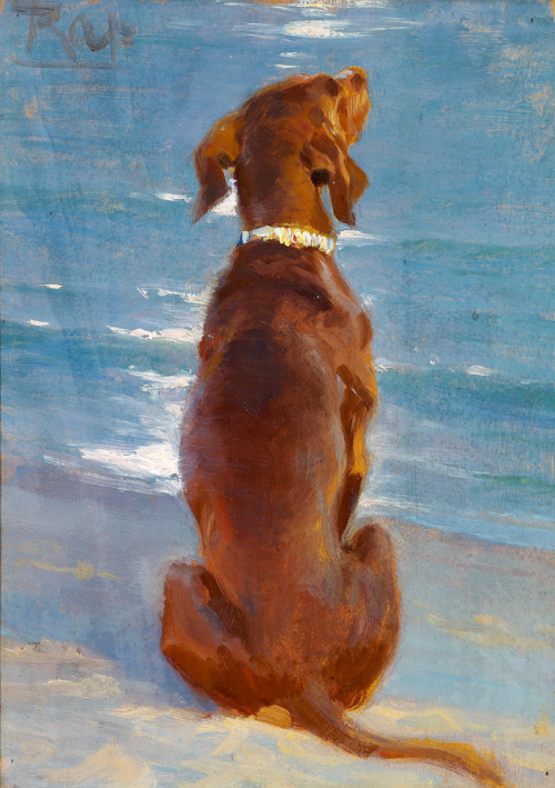 A sitting brown dog. Rap., 1892, Peder Severin Krøyer