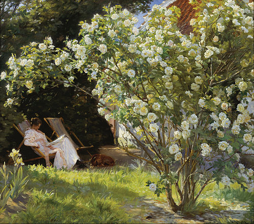 Roses, 1893, Peder Severin Krøyer