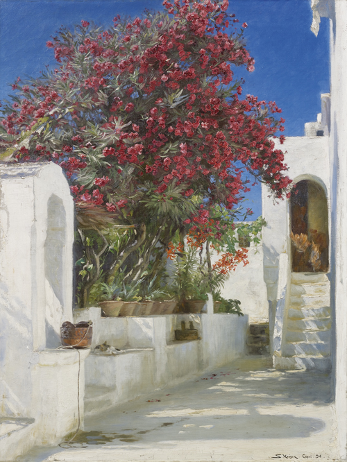Oleanders in bloom, Capri, 1896, Peder Severin Krøyer