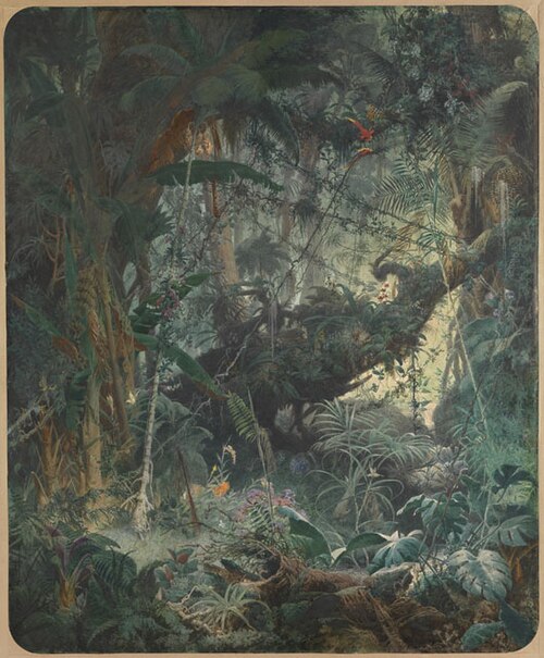 Brasilianischer Urwald, 1868, Adolph Schroedter