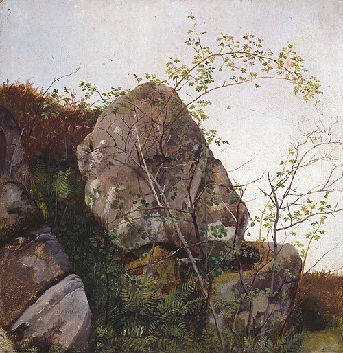 Study of Dog Roses and Ferns, 1834, Adolph Tidemand