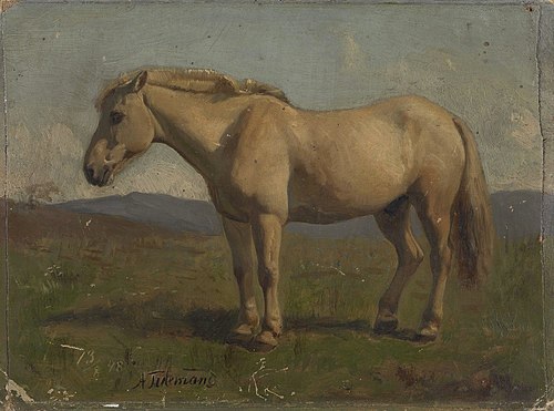 A dun Horse, 1848, Adolph Tidemand