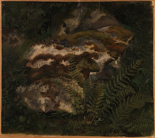 Study of an Moss-covered Stone and Ferns, 1830, Adolph Tidemand