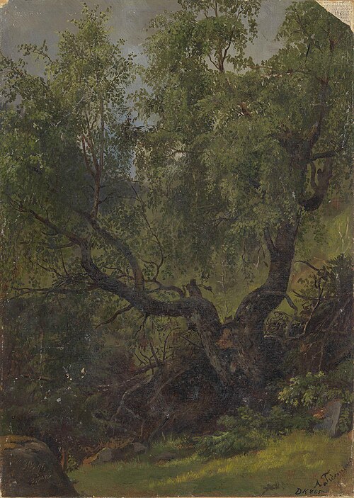 Forest Study from Numedal, 1848, Adolph Tidemand