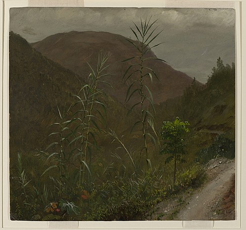 Canne à sucre sauvage, Jamaïque, 1865, Frederic Edwin Church
