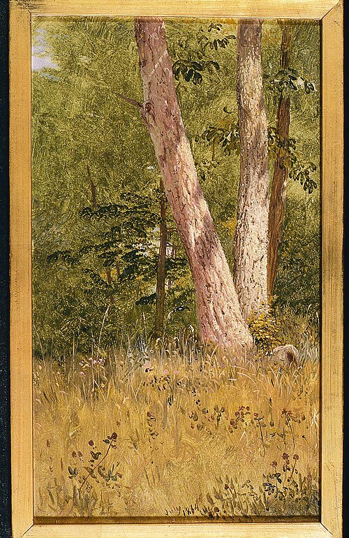 Landscape with Two Trees, 1864, Frederic Edwin Church