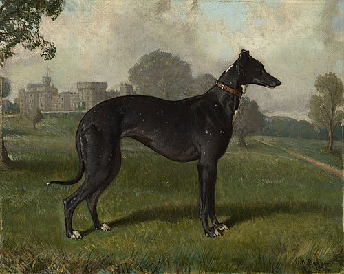 Giddy, 1874, Charles Burton Barber