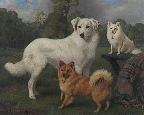 "Snowball", "Marco" & "Janey", 1879, Charles Burton Barber