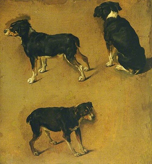 Studies of a Dog, , Adriaen van de Velde