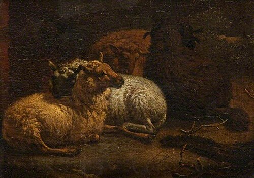 Four Sheep Resting, , Adriaen van de Velde