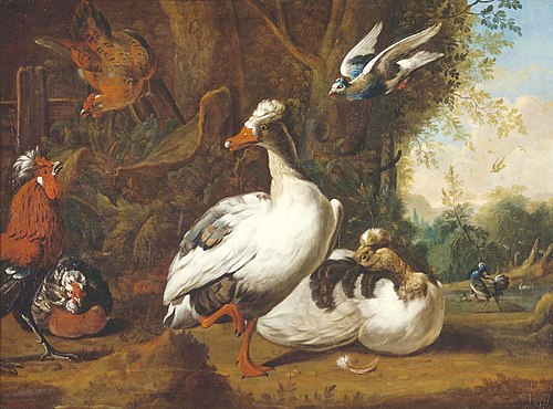 Hoenderhof, , Adriaen Coorte