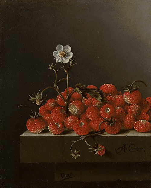 Nature morte aux fraises, 1705, Adriaen Coorte