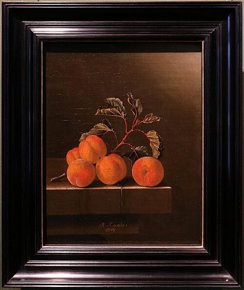 Still Life with Five Apricots, 1704, Adriaen Coorte