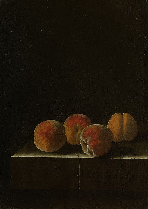Four Apricots on a Stone Plinth, 1698, Adriaen Coorte