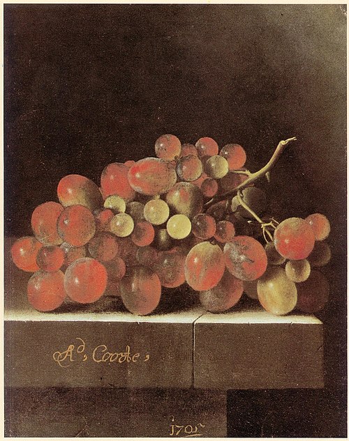 Bunch of Grapes, 1705, Adriaen Coorte