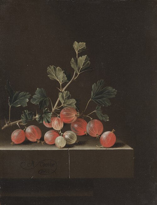 Gooseberries on a Table, 1701, Adriaen Coorte