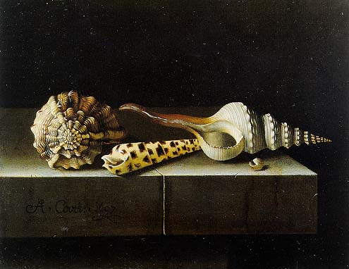 Still life with four shells, 1697, Adriaen Coorte
