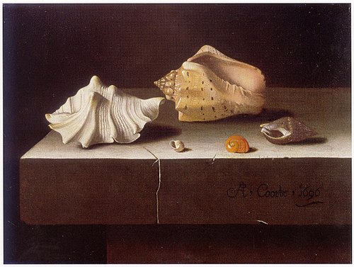 Cinq coquillages sur une tranche de pierre, 1696, Adriaen Coorte