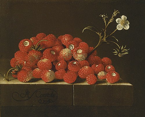 Wild strawberries on a ledge, 1704, Adriaen Coorte
