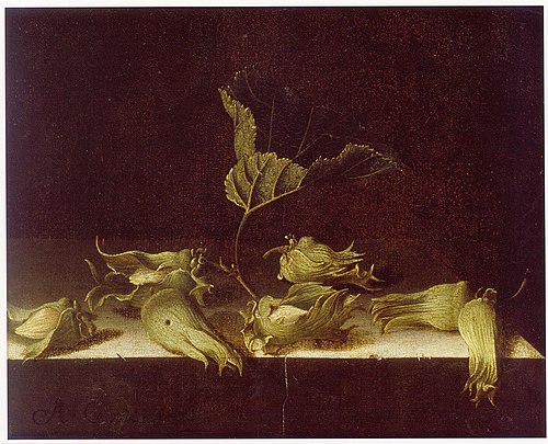 Still Life with Hazel-nuts, 1696, Adriaen Coorte