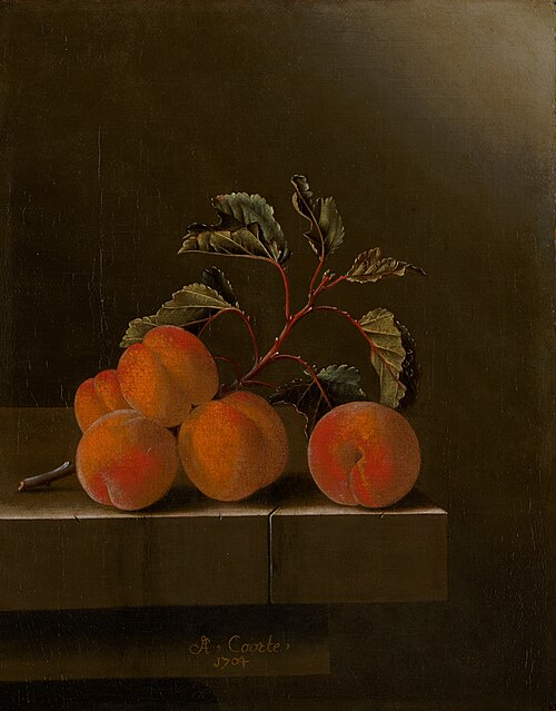Still life with five apricots, 1704, Adriaen Coorte