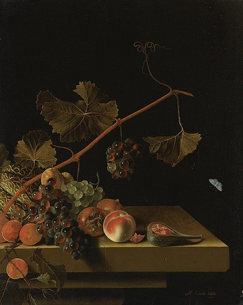 Still life with fruit and a grapevine, 1688, Adriaen Coorte