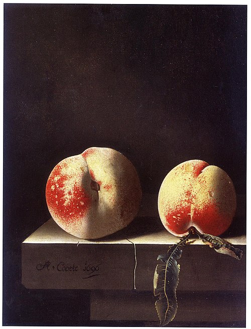 Two Peaches, 1696, Adriaen Coorte