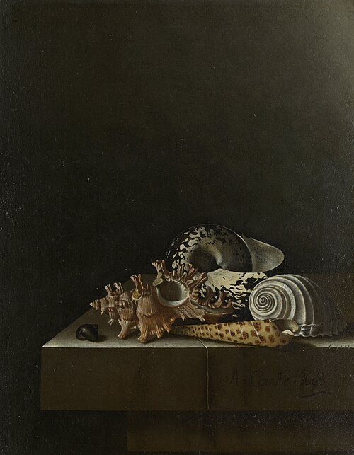 Still Life with Shells, 1698, Adriaen Coorte