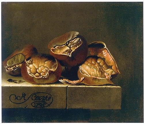 Chestnuts, 1705, Adriaen Coorte