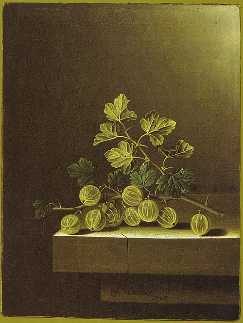 Spray of Green Gooseberries on a Stone Plinth, 1705, Adriaen Coorte