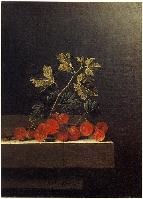 Spray of Red Gooseberries on a Stone Plinth, 1705, Adriaen Coorte