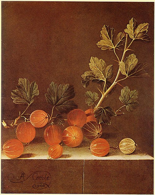Spray of Gooseberries on a Stone Plinth, 1700, Adriaen Coorte