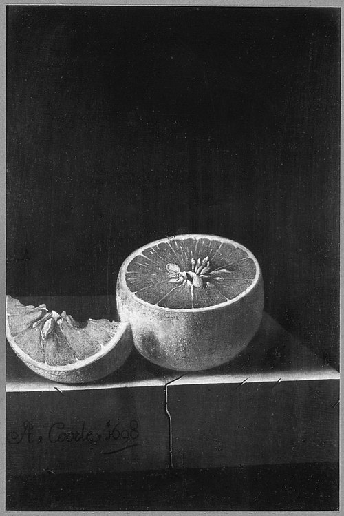 Orange, 1698, Adriaen Coorte