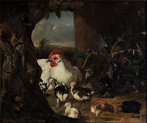 Hen with her chicks, 1684, Adriaen Coorte
