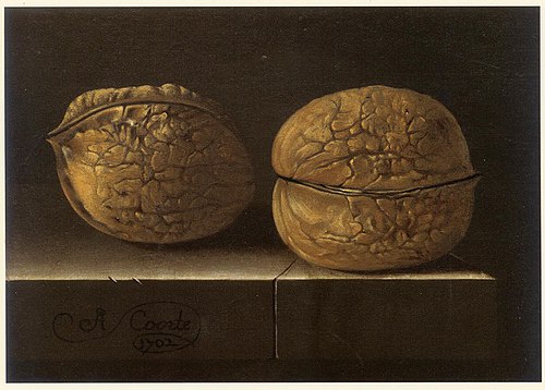 Two Walnuts, 1702, Adriaen Coorte