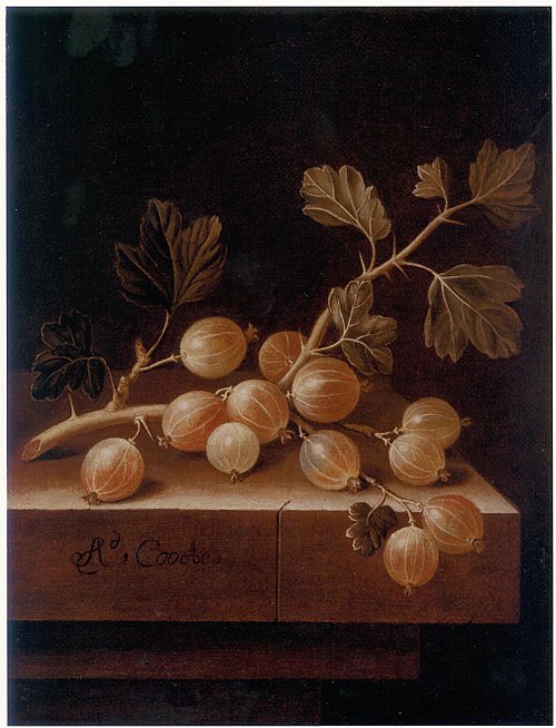 Gooseberries, 1700, Adriaen Coorte