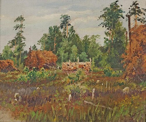 Forest clearing, , Kazimierz Alchimowicz