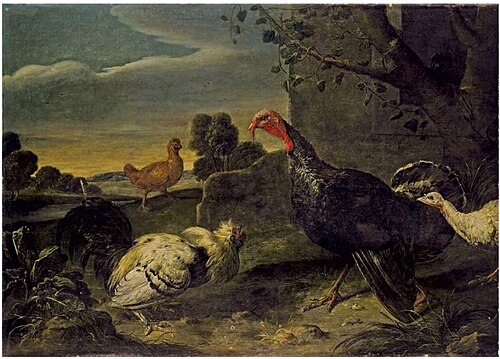 Turkeys and chickens, 1646, Adriaen van Utrecht
