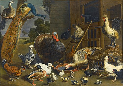 , 1650, Adriaen van Utrecht