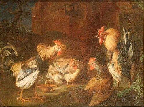 Coqs, poules et poussins, , Adriaen van Utrecht