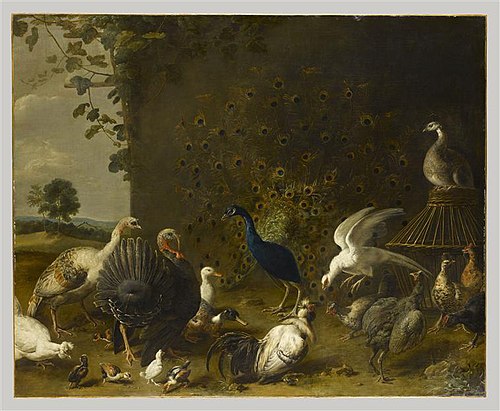 Barnyard Birds, 1675, Adriaen van Utrecht