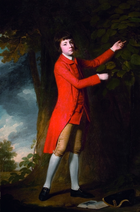 Thomas Rackett the Younger (1756–1840), 1768, George Romney